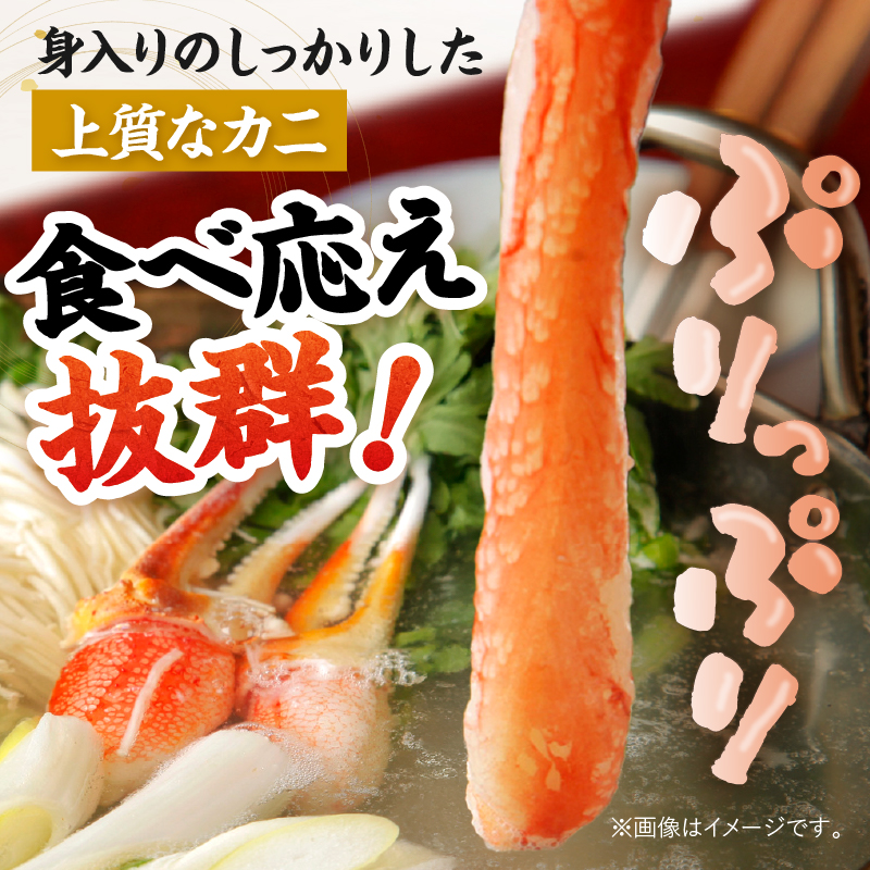 北見市加工 生冷本ズワイガニセット 800g×2パック 昆布入 ( 海鮮 魚介類 魚介 蟹 かに カニ セット 鍋 カニ鍋 カニ爪 ズワイガニ かにしゃぶ カット済 贈答 )【094-0072】