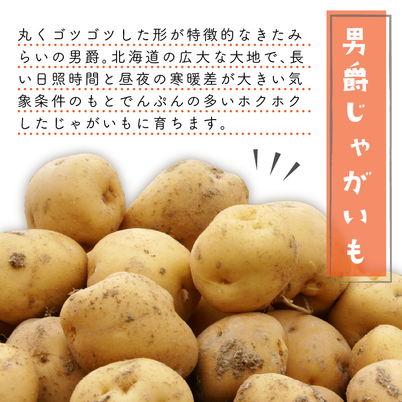 日本農業大賞受賞の「玉ねぎ5kg」と北海道の優良品種「男爵いも5kg」の使いやすいセット☆JAきたみらいから直送☆ ( 野菜 玉葱 たまねぎ じゃがいも 男爵 期間限定 )【104-0014】