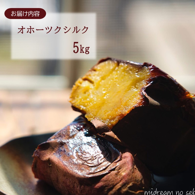 【予約：2025年11月中旬から順次発送】北海道北見市常呂町産 サツマイモ オホーツクシルク 5kg ( さつまいも さつま芋 焼き芋 大学芋 )【111-0001】