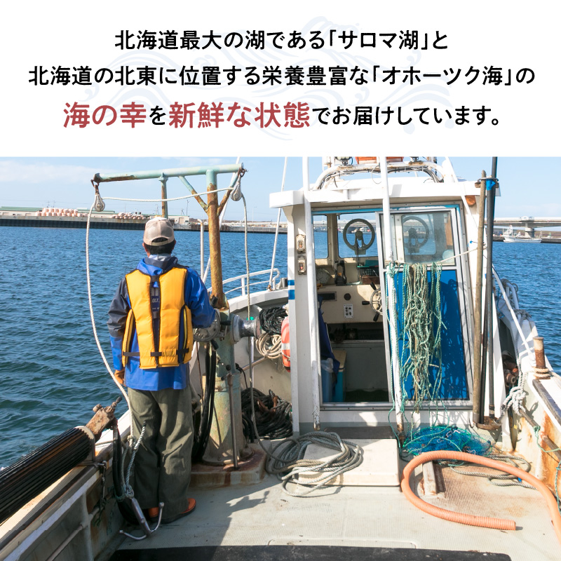 《14営業日以内に発送》時鮭とイクラの醤油漬け 80g×2パック ( いくら サケ 小分け 魚介類 海鮮 )【114-0058】