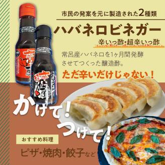 酢4本とおにおんスパイス1本 ( 酢 お酢 玉葱 タマネギ たまねぎ オニオンスパイス セット )【117-0002】