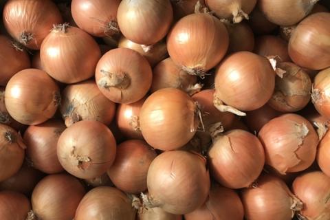 《7営業日以内に発送》大地の恵み北海道オニオンスープ 4袋×1箱 ( 玉ねぎ スープ たまねぎ 小分け オニオン ふるさと納税 即席 簡単 粉末 調味料 )【125-0001】