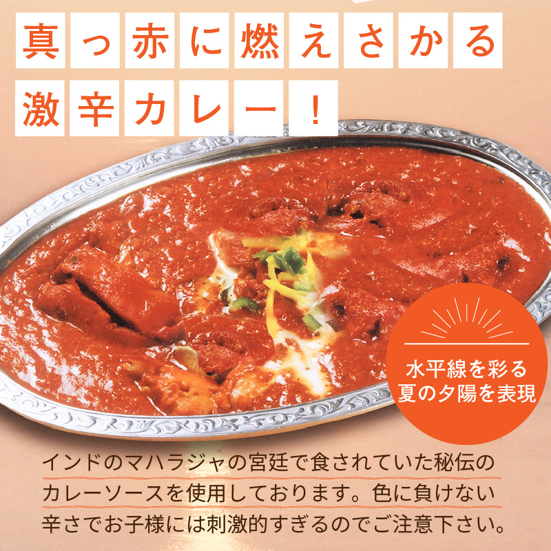 クリシュナ 春夏オホーツクカリー 2食セット 手焼きナン付 ( 食品 加工品 惣菜 カレー ナン セット 五つ星ホテル オホーツク海 オホーツクカレー )【127-0005】