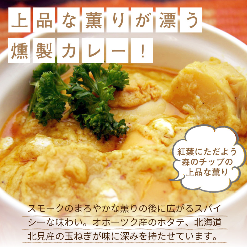 クリシュナ 春夏秋冬オホーツクカリー 各2食セット 手焼きナン付 ( 食品 加工品 惣菜 カレー ナン セット 五つ星ホテル オホーツク海 オホーツクカレー )【127-0008】
