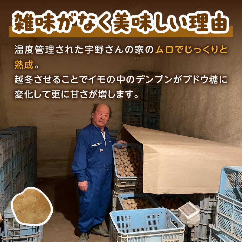 【予約：2026年2月上旬から順次発送】【選べる3サイズ】宇野さんの手拾い、手選別の越冬ジャガイモ 1kg ( 芋 野菜 選べる )【167-0001-2026】