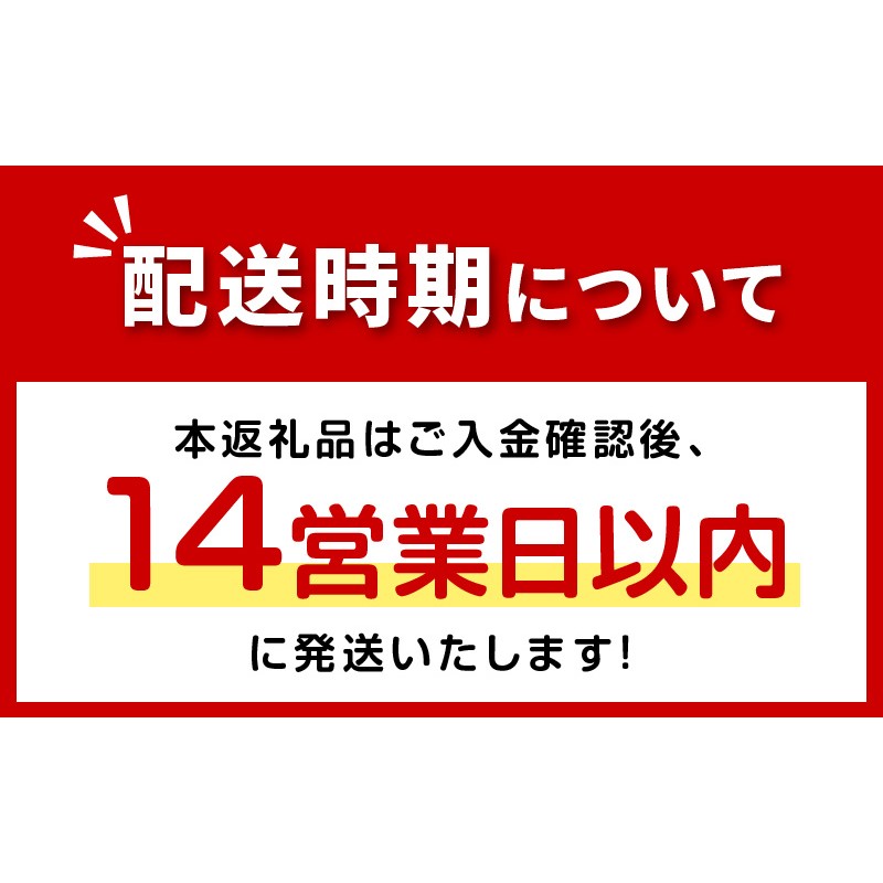 《14営業日以内に発送》パラコード製 ストラップ 1個 小型犬用首輪 1個 小型犬用リード1本 3点セット ( ペット 犬 小物 わんこ 手作り 首輪 リード )【195-0002】