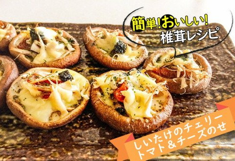 【3ヶ月定期便】北海道産 菌床栽培 乾燥椎茸スライス100g ( 野菜 きのこ キノコ 椎茸 しいたけ シイタケ 乾物 定期便 北見市 ふるさと納税 出汁 煮物 )【999-0168】