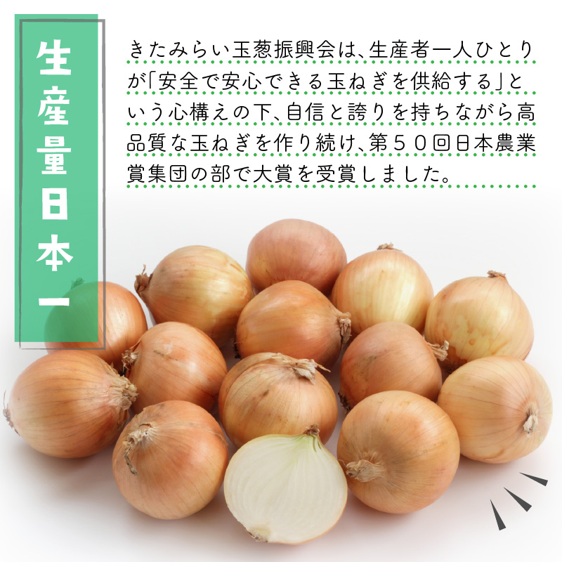 ☆L玉隔月定期便(10月・12月)☆JAきたみらいから直送する新鮮玉ねぎ 10kg(L)×2回 ( 野菜 定期便 玉葱 たまねぎ 期間限定 )【999-0006-2025】