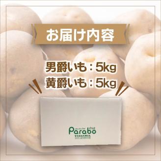【予約：2024年10月中旬から順次発送】JAきたみらい「男爵いも・黄爵(とうや)いもセット」10kg ( 期間限定 野菜 セット 芋 )【005-0019-2024】