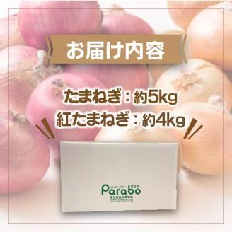 【予約：2024年10月上旬から順次発送】北海道 JAきたみらい「たまねぎ・紅玉ねぎセット」9kg ( 期間限定 野菜 たまねぎ 玉葱 )【005-0021-2024】