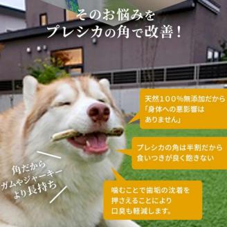 鹿の角 犬のおもちゃ ペット用 LLサイズ ( ペット おもちゃ 鹿 角 )【079-0005】