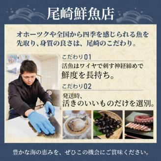 北海道北見市常呂産 ボイル水タコ足 約1kg前後 ( 海鮮 たこ 水タコ )【091-0010】
