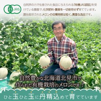 【予約：2025年7月から順次発送】北海道北見市産 有機栽培 赤肉街道 メロン 約2kg×4玉 ( 果実 果物 くだもの フルーツ デザート 赤肉 )【034-0005-2025】