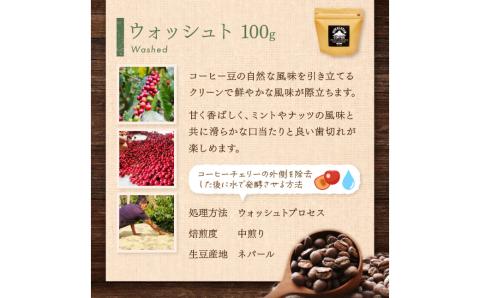 スペシャルティコーヒー 豆 200g ～北の大地にてロースターが自家焙煎したヒマラヤ（ネパール）の風薫る～【166-0002】