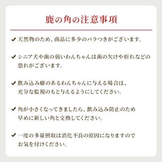 鹿の角 犬のおもちゃ ペット用 Mサイズ ( ペット おもちゃ 鹿 角 )【079-0003】