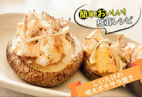 【3ヶ月定期便】北海道産 菌床栽培 乾燥椎茸スライス100g ( 野菜 きのこ キノコ 椎茸 しいたけ シイタケ 乾物 定期便 北見市 ふるさと納税 出汁 煮物 )【999-0168】