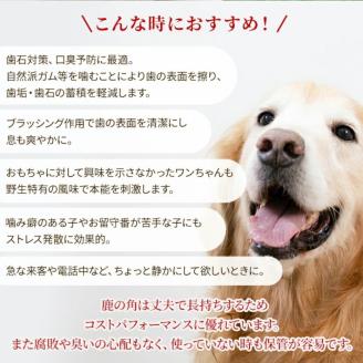 鹿の角 犬のおもちゃ ペット用 LLサイズ ( ペット おもちゃ 鹿 角 )【079-0005】