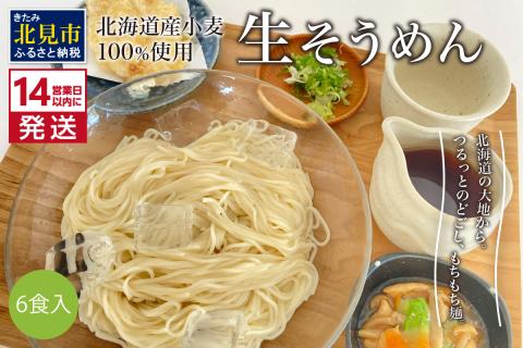 《14営業日以内に発送》【北海道産小麦100％使用】津村製麺所がつくる 生そうめん 6食入 ( 素麺 生 生めん 生麺 そうめん 北海道 小麦粉 ソーメン )【003-0032】