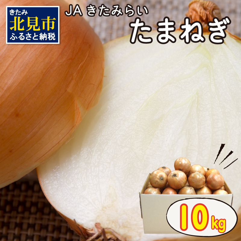 【予約：2024年10月上旬から順次発送】北海道 JAきたみらい「たまねぎ」10kg ( 期間限定 野菜 玉ねぎ 玉葱 )【005-0001-2024】