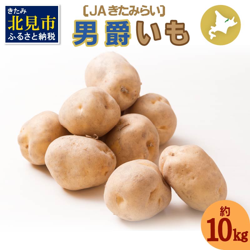 【予約：2024年9月下旬から順次発送】北海道 JAきたみらい「男爵いも」10kg ( 期間限定 野菜 芋 )【005-0008-2024】