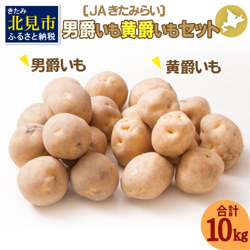 【予約：2024年10月中旬から順次発送】JAきたみらい「男爵いも・黄爵(とうや)いもセット」10kg ( 期間限定 野菜 セット 芋 )【005-0019-2024】