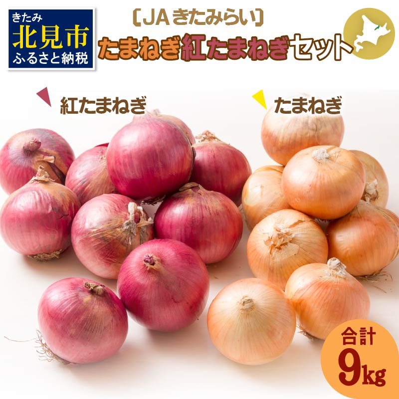 【予約：2024年10月上旬から順次発送】北海道 JAきたみらい「たまねぎ・紅玉ねぎセット」9kg ( 期間限定 野菜 たまねぎ 玉葱 )【005-0021-2024】