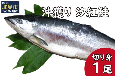 沖獲り 汐紅鮭 切り身 1尾 ( さけ 鮭 紅鮭 魚 魚介類 ふるさと納税 )【017-0026】