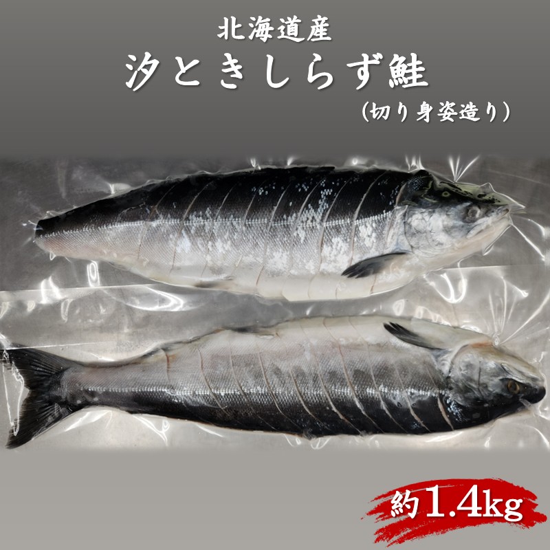 北海道産 汐ときしらず鮭 約1.4kg 切り身姿造り ( 鮭 ときしらず トキシラズ 時鮭 時不知鮭 焼き鮭 ギフト 贈り物 )【017-0022】
