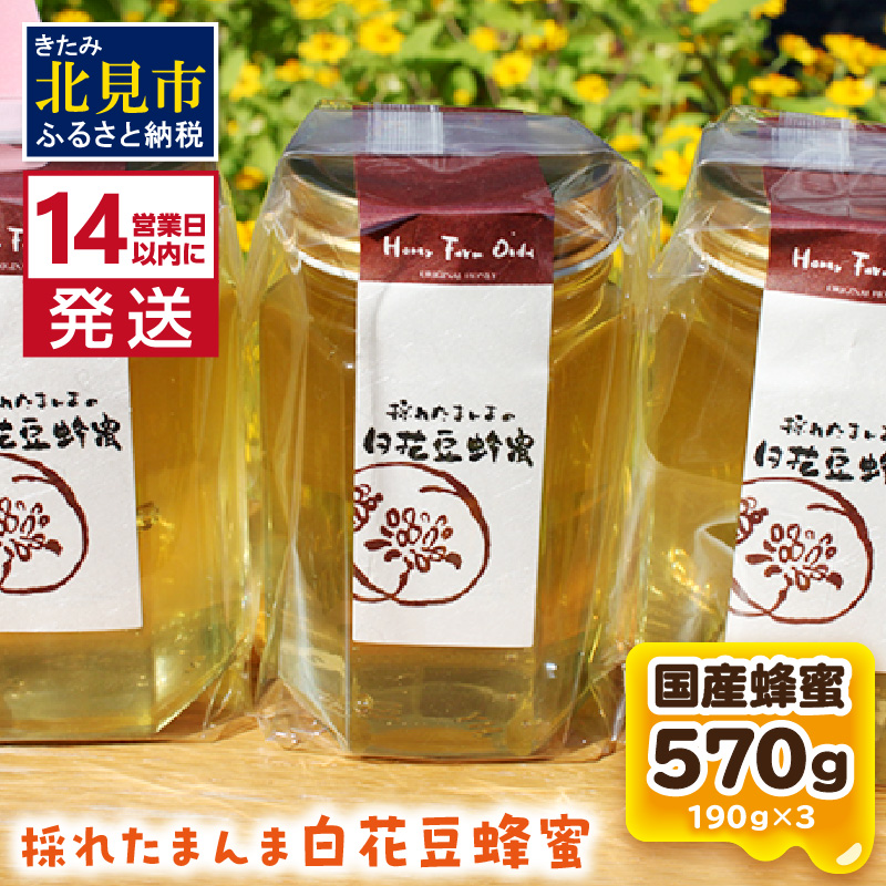 《14営業日以内に発送》採れたまんまの白花豆蜂蜜 190g×3本セット ( 蜂蜜 はちみつ ハチミツ 蜜 甘い 白花豆 蜂 純粋蜂蜜 贅沢 国産 酸味 おいしい おやつ 天然 自然 )【022-0011】