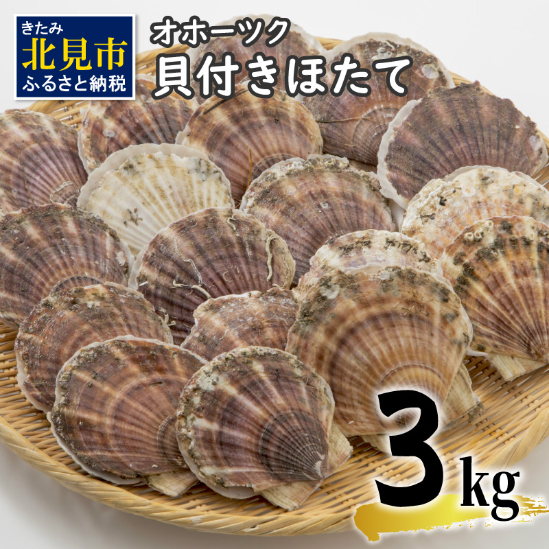 オホーツク貝付きほたて 3kg(15枚～25枚)( 海鮮 魚介 魚介類 貝 貝類 ホタテ ほたて 帆立 殻付き 貝柱 贈答 ギフト 贈り物 お中元 お祝い BBQ バーベキュー )【031-0012】