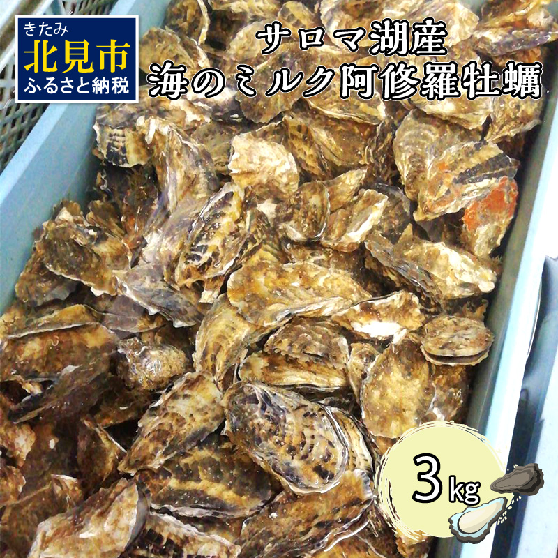 【予約：2026年10月中旬から順次発送】サロマ湖産 海のミルク 阿修羅牡蠣 3kg ( 期間限定 新鮮 生食 生ガキ カキ かき 3キロ 道産 オホーツク海産 海鮮 魚介類 貝類 生 )【031-0014-2026】