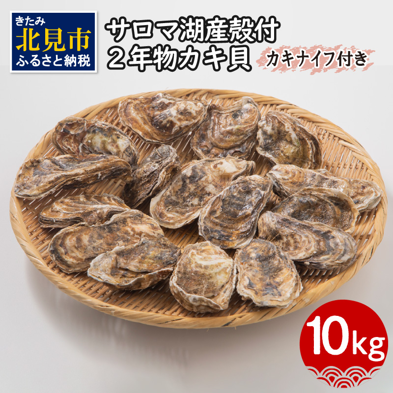 【予約：2025年10月より順次発送】【カキナイフ付】海のミルクサロマ湖産殻付2年物カキ貝 10kg 80～100個入 ( 海鮮 魚介類 貝 お歳暮 お祝い BBQ )【031-0020】