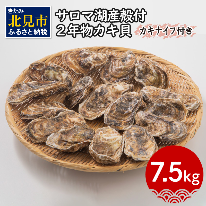 【予約：2025年10月より順次発送】【カキナイフ付】海のミルクサロマ湖産殻付2年物カキ貝 7.5kg 60～75個入 ( 魚介類 海鮮 魚介 牡蠣 かき カキ )【031-0019】