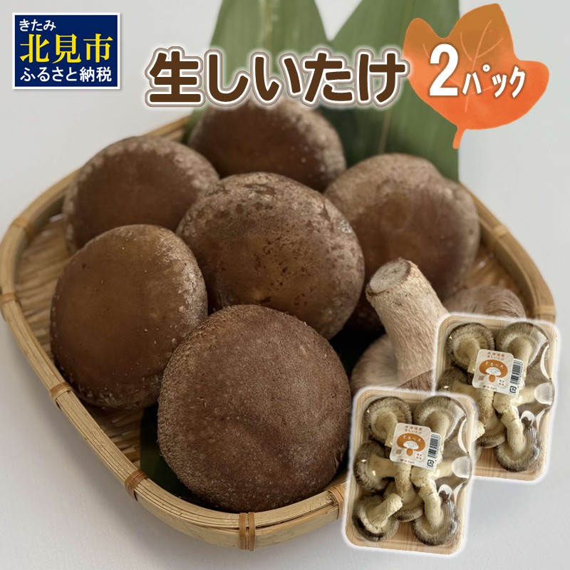 北海道産 生しいたけ(菌床) 2パック ( きのこ キノコ 椎茸 シイタケ )【038-0006】