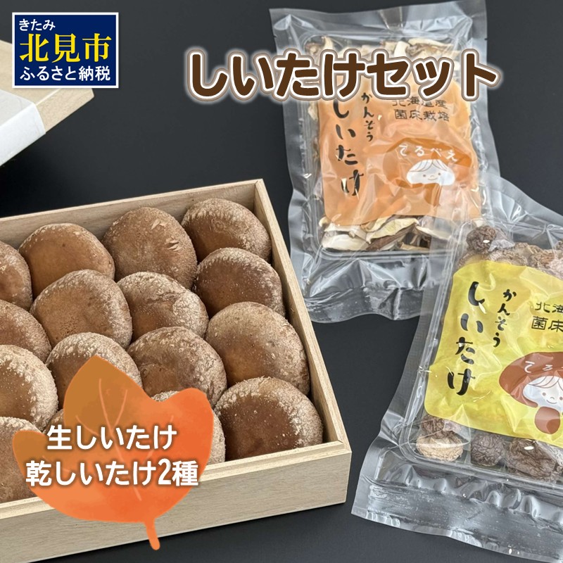 【木箱入】北海道産 生しいたけ(菌床) 乾しいたけ(ひと口・スライス)セット ( きのこ キノコ 椎茸 シイタケ )【038-0007】