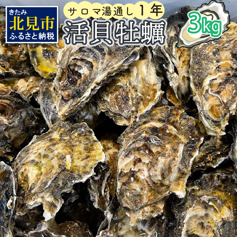 【予約：2024年11月上旬から順次発送】サロマ湖湯通し1年 活貝牡蠣3キロ ( カキ 魚介類 期間限定 3kg )【091-0001-2024】