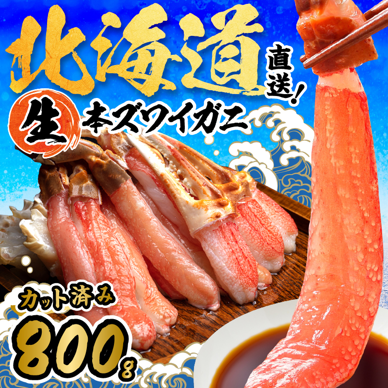 北見市加工 生冷本ズワイガニセット 800g 昆布入 ( 海鮮 魚介類 魚介 蟹 かに カニ セット 鍋 カニ鍋 カニ爪 ズワイガニ かにしゃぶ カット済 贈答 ギフト )【094-0071】