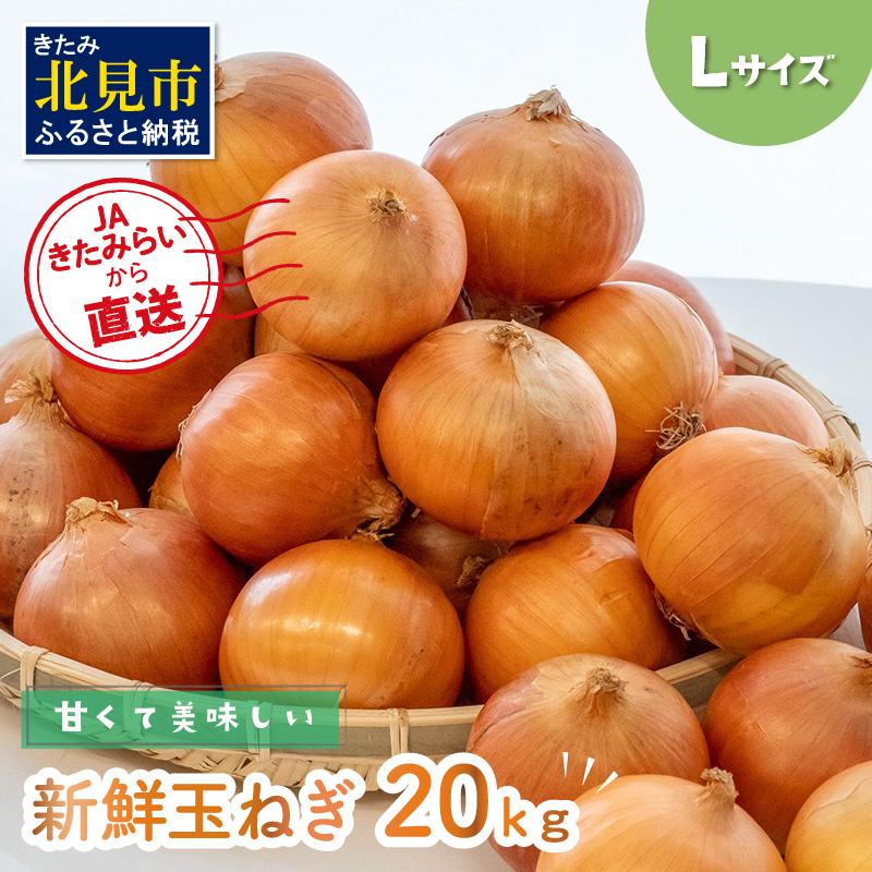 JAきたみらいから直送する甘くて美味しい新鮮玉ねぎ 20kg Lサイズ【104-0008-2025】
