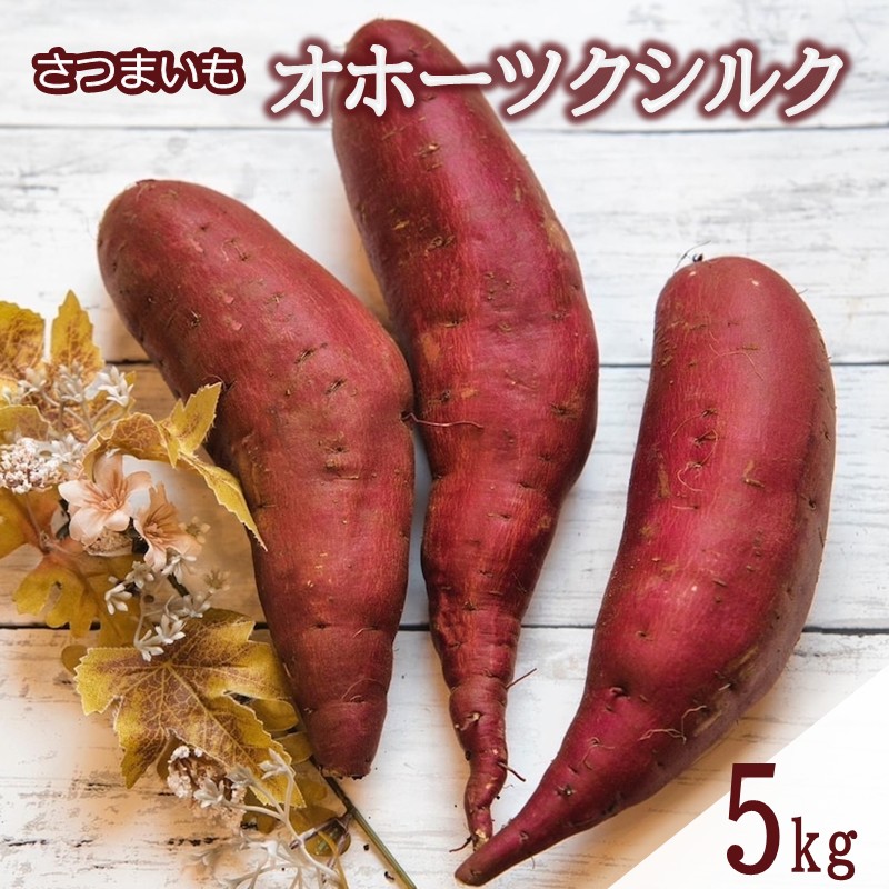 【予約：2025年11月中旬から順次発送】北海道北見市常呂町産 サツマイモ オホーツクシルク 5kg ( さつまいも さつま芋 焼き芋 大学芋 )【111-0001】