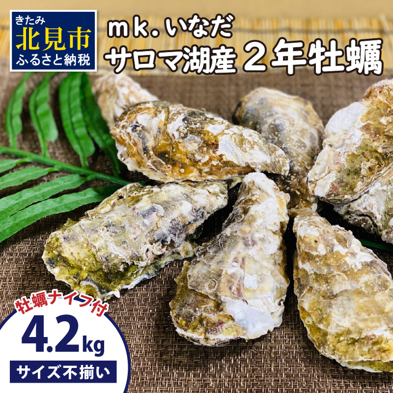 【予約：2025年10月下旬から順次発送】サロマ湖産 殻付き2年牡蠣 4.2kg サイズ不揃い ※牡蠣ナイフ付 ( カキ かき 4.2キロ 魚介 海鮮 貝 ふるさと納税 BBQ バーベキュー )【113-0014-2025】