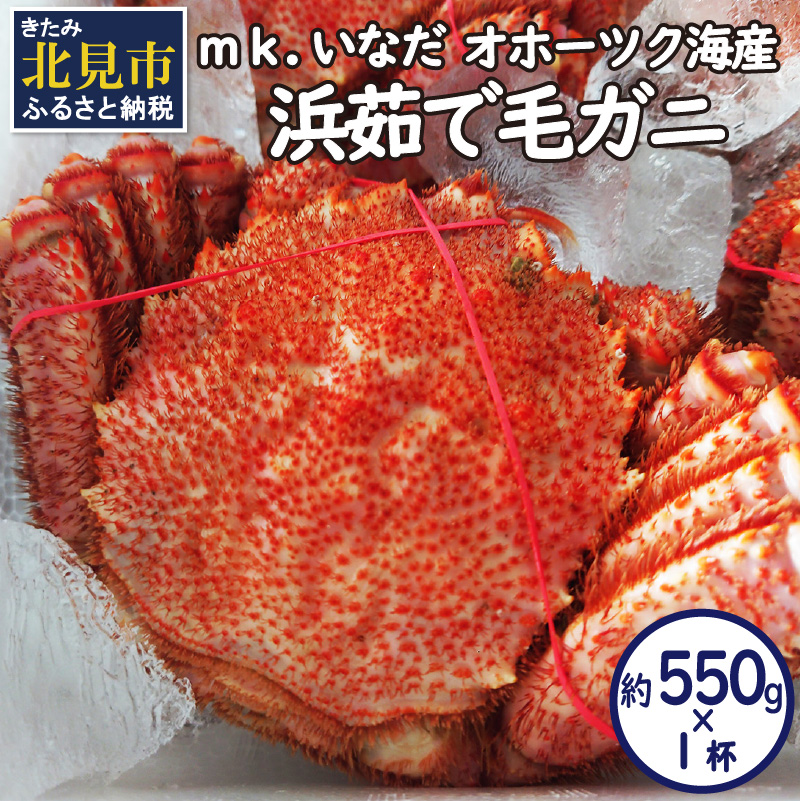 オホーツク海産 浜茹で毛ガニ 約550g×1杯 ( 海鮮 かに カニ 蟹 毛ガニ ボイル 贈答 ギフト )【113-0012】