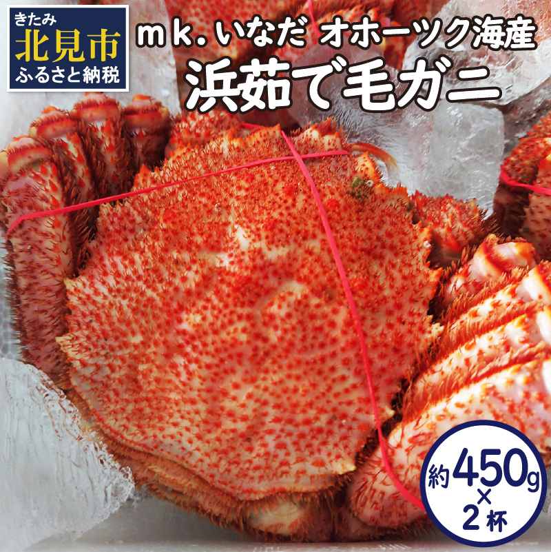 オホーツク海産 浜茹で毛ガニ 約450g×2杯 ( 海鮮 かに カニ 蟹 毛ガニ ボイル 贈答 ギフト )【113-0013】