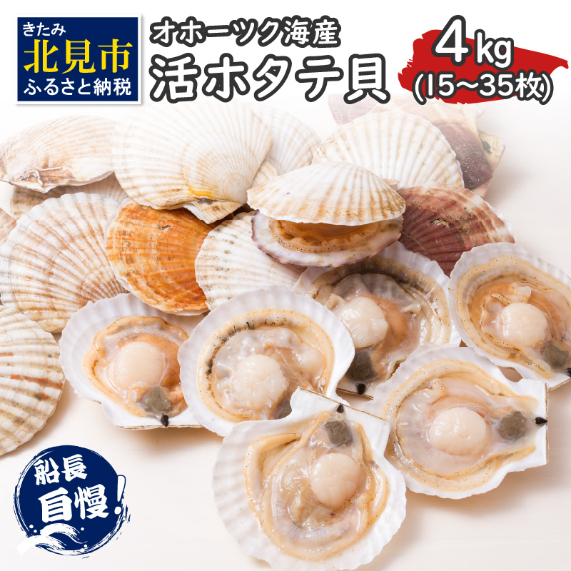 とれたて新鮮！オホーツク海産 活ホタテ貝 4kg 15～35枚 ( 魚介 海鮮 貝 帆立 ほたて ホタテ 4キロ カレー シチュー 肉厚 )【114-0048】