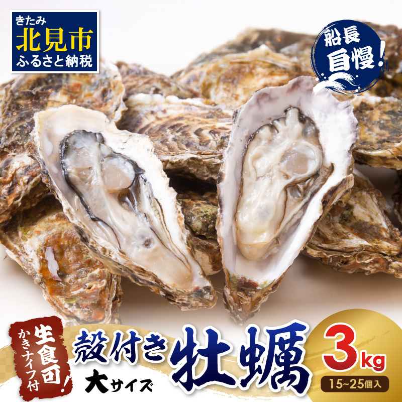 サロマ湖自慢の殻付きカキ貝 大 3kg詰め ( 牡蠣 かき 濃厚 大きい 魚介類 貝類 殻付 殻付き牡蠣 BBQ バーベキュー )【114-0072-2025】