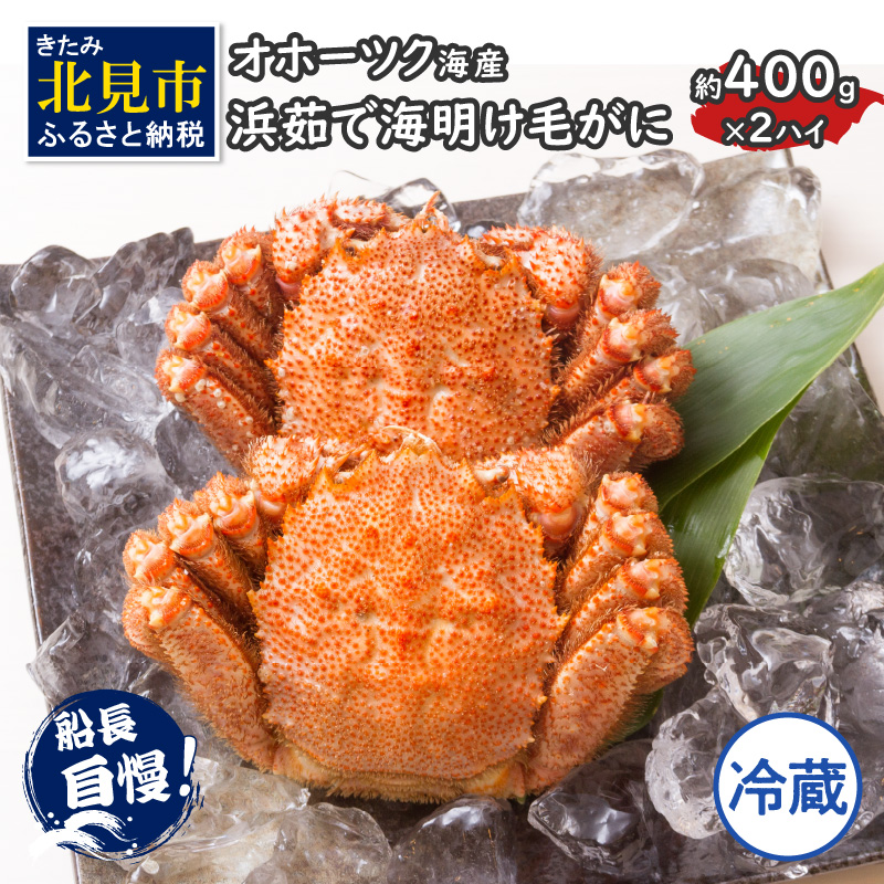 【予約：2026年3月下旬から順次発送】【旬の浜ゆで毛ガニを冷蔵便で】オホーツク海産 浜茹で海明け毛がに 約400g×2ハイ 冷蔵 ( かに 蟹 魚介類 海鮮 )【114-0029-2026】