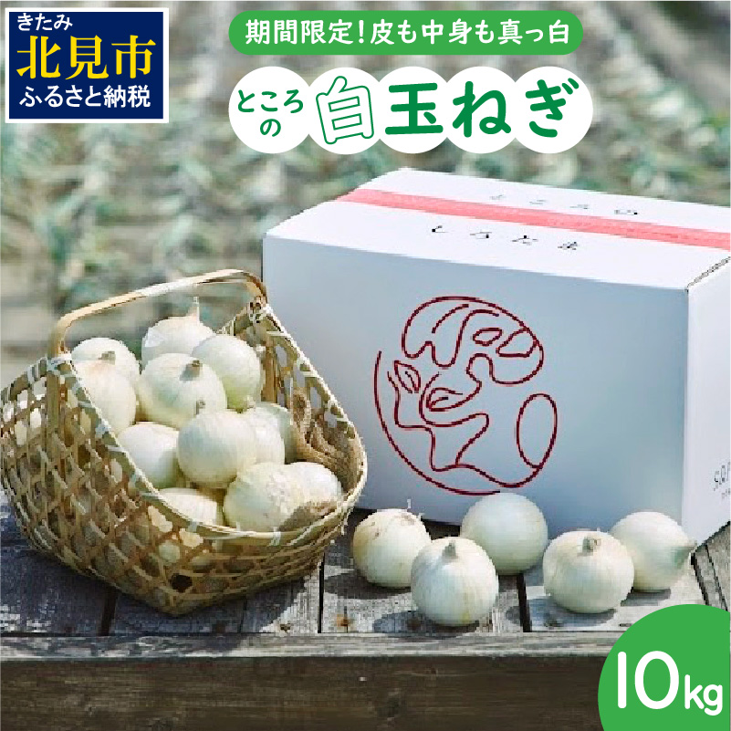 【予約：2025年7月中旬から順次発送】ところの白玉ねぎ 10kg ( 玉ねぎ タマネギ 玉葱 野菜 白玉ねぎ 10キロ 期間限定 辛みが少ない 生食 )【121-0008-2025】