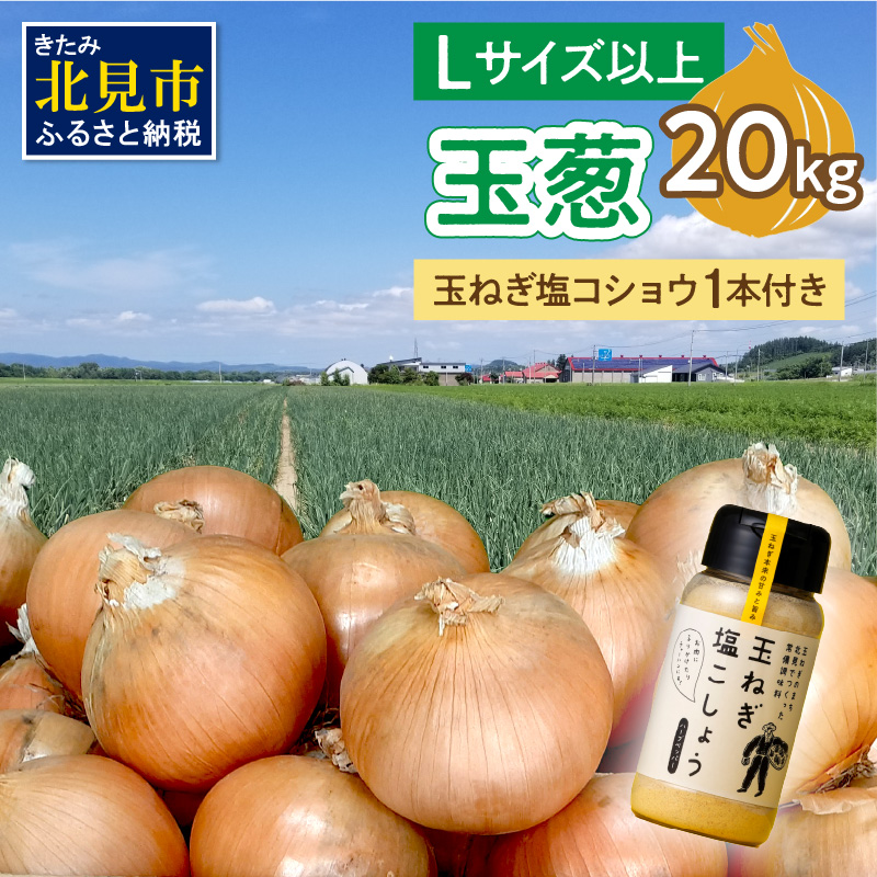 【予約：2025年11月から順次発送】玉葱 20kg Lサイズ以上 玉ねぎ塩こしょう 1本付き ( タマネギ 玉葱 野菜 調味料 塩コショウ )【148-0013-2025】