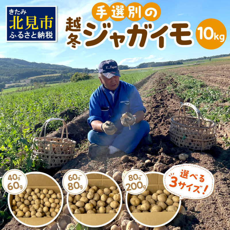 【予約：2026年2月上旬から順次発送】【選べる3サイズ】宇野さんの手拾い、手選別の越冬ジャガイモ 10kg ( 芋 野菜 選べる )【167-0004-2026】