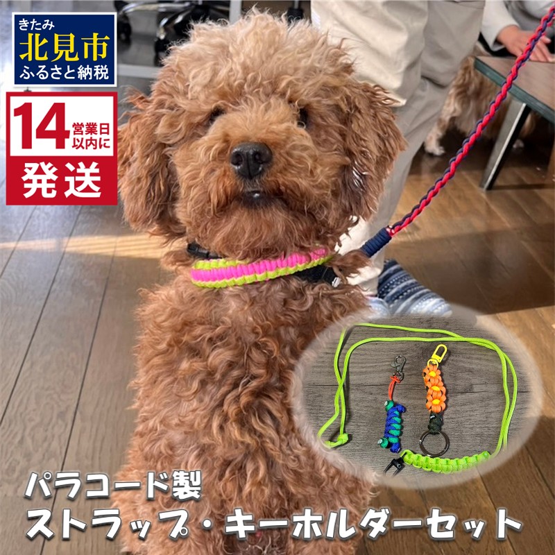 《14営業日以内に発送》パラコード製 ストラップ1個 キーホルダー2個 3点セット ( ペット 犬 小物 わんこ 手作り )【195-0001】