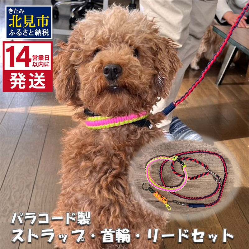 《14営業日以内に発送》パラコード製 ストラップ 1個 小型犬用首輪 1個 小型犬用リード1本 3点セット ( ペット 犬 小物 わんこ 手作り 首輪 リード )【195-0002】